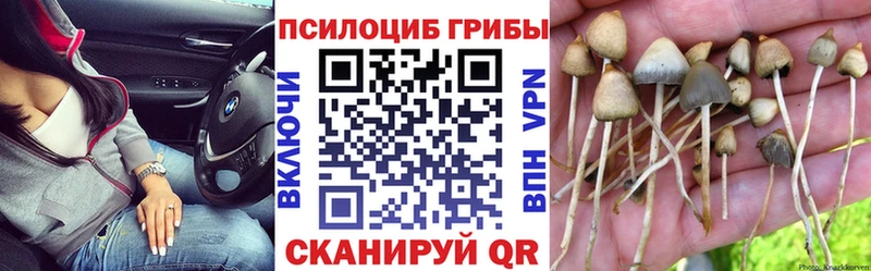 kraken как войти  Холмск  Галлюциногенные грибы прущие грибы 